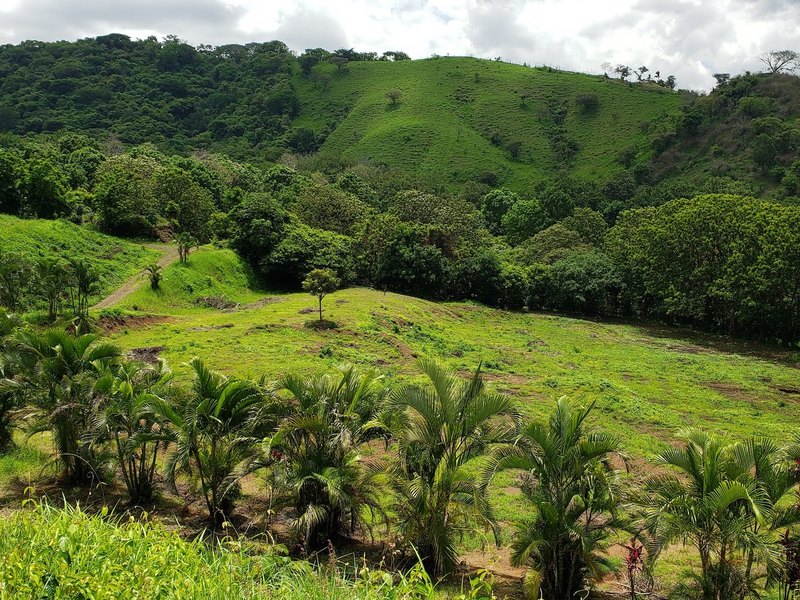 4 Premium Hectares Property in Atenas with Amazing Vistas, Atenas